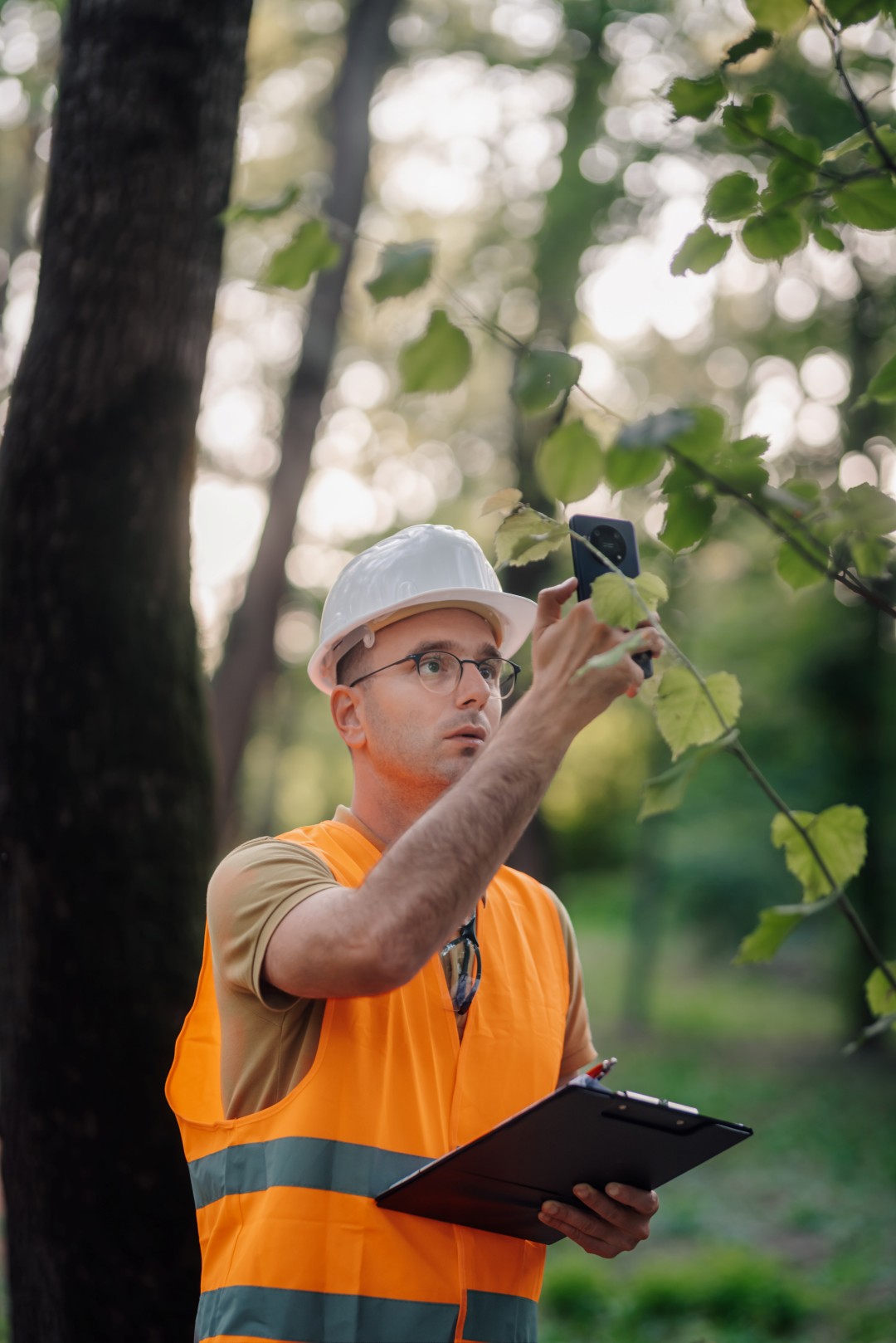 Forestry engineer wearing safety helmet and vest taking photos of leaves with smartphone and holding clipboard in forest
